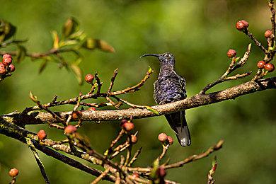 新《暗黑破坏神4》背景故事视频前作黑暗历史